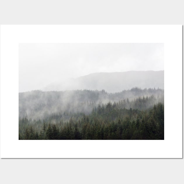 Mist and rain floats across trees in the Scottish Highlands Wall Art by richflintphoto